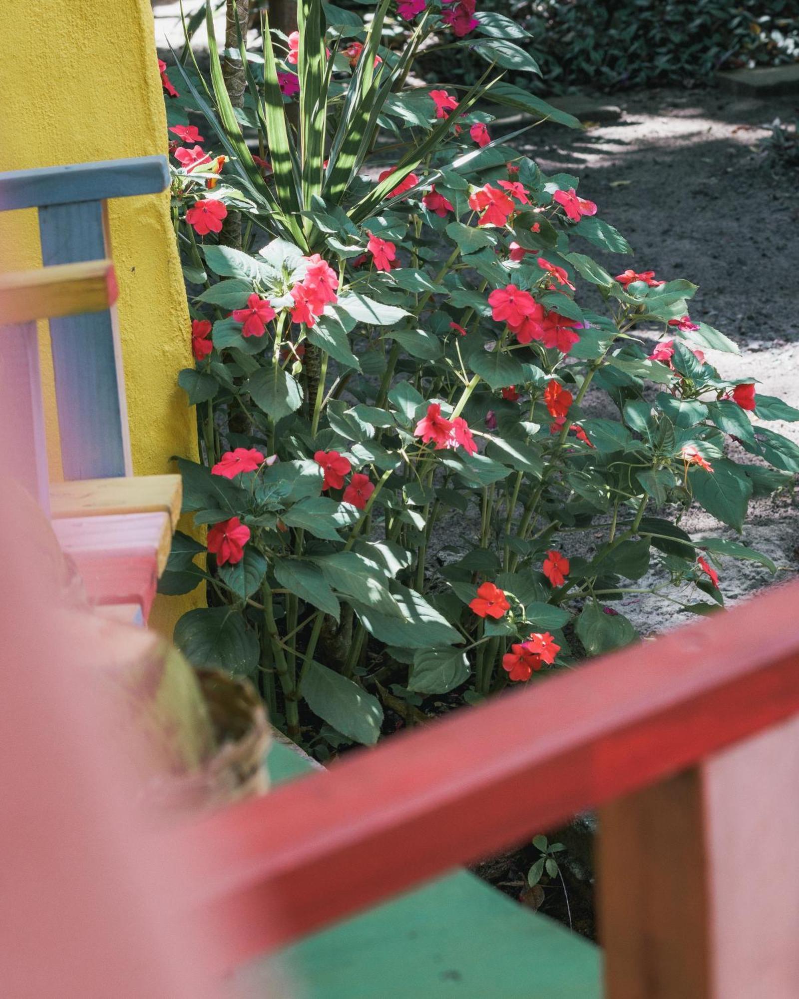 فندق Butterfly House Bahia ماراو المظهر الخارجي الصورة