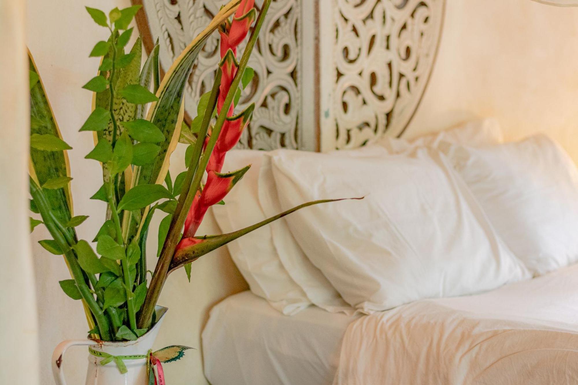 فندق Butterfly House Bahia ماراو المظهر الخارجي الصورة